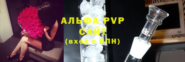 молекула духа Каменногорск