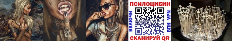Псилоцибиновые грибы прущие грибы  купить закладку  Вихоревка 